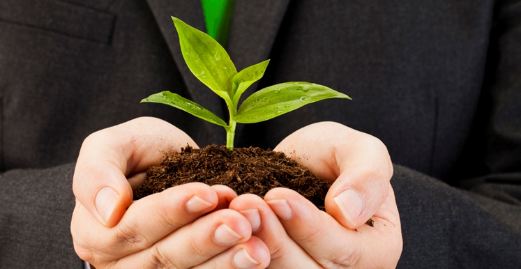 holding plant